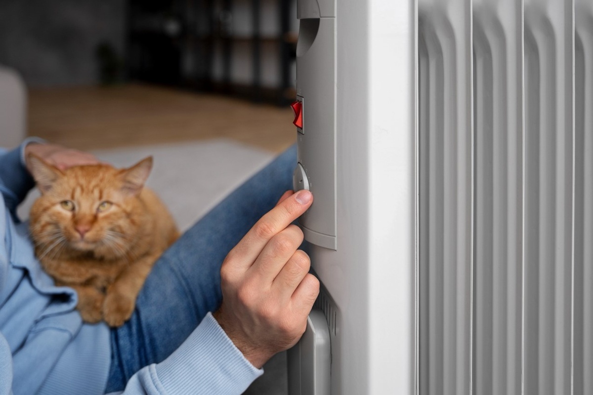    Фото: freepik.com