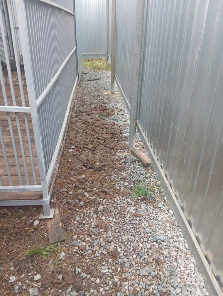 Так выглядит территория тобольского приюта для животных. Фото: URA.RU