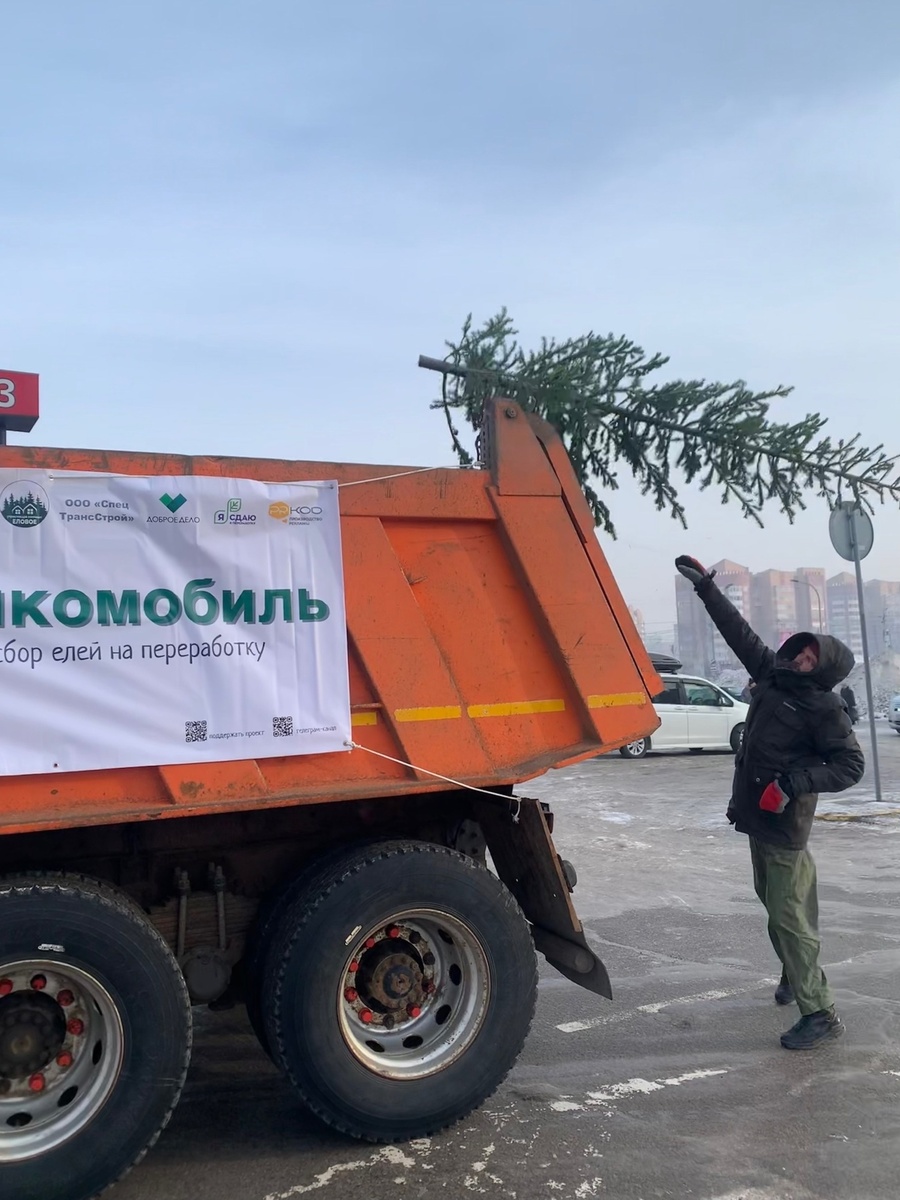     17 января в Красноярске заработает специальный елкомобиль