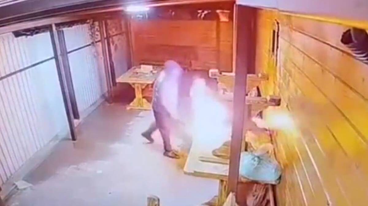    Фото: Скриншот / Омская полиция / Telegram