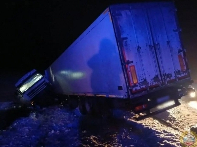     Фото: ГУ МВД по Волгоградской области