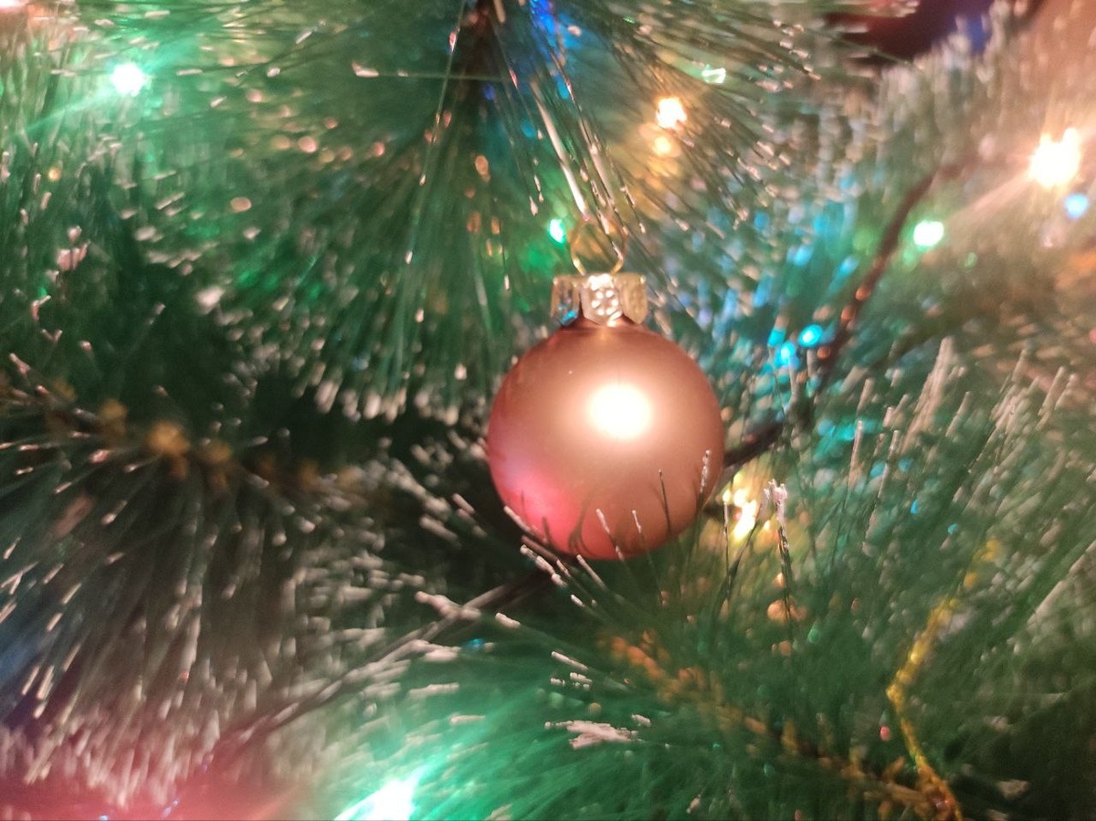    Фото: Юлия Армасарь.