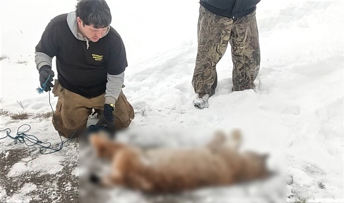     / Источник: Кадр из видео