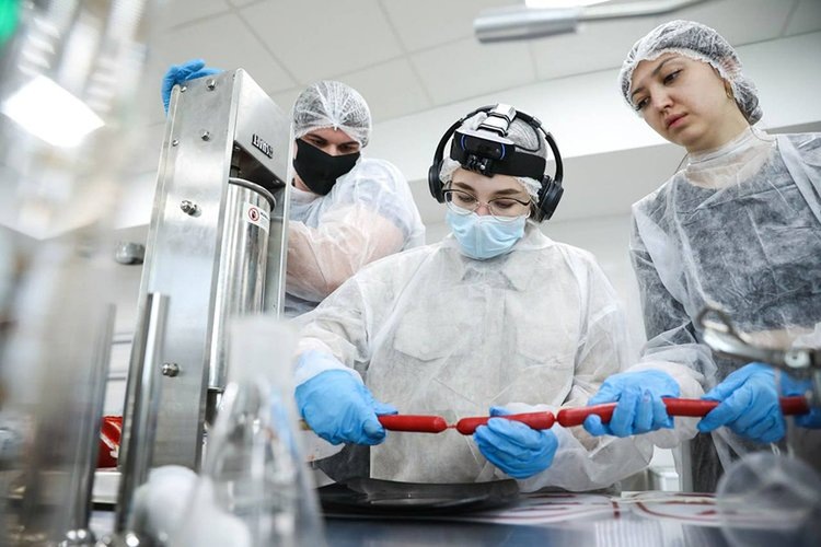    Фото: Северо-Кавказский федеральный университет