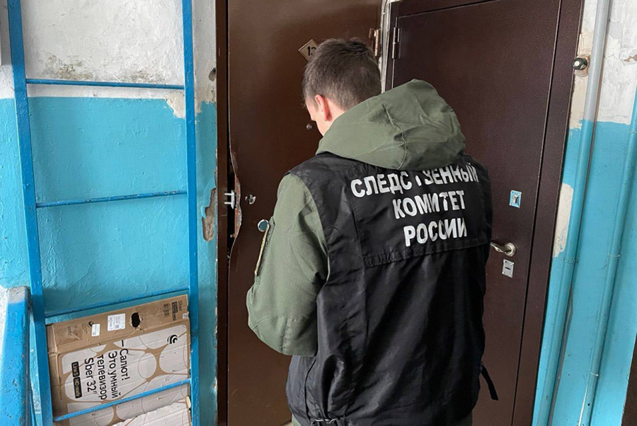    © Следственный комитет России