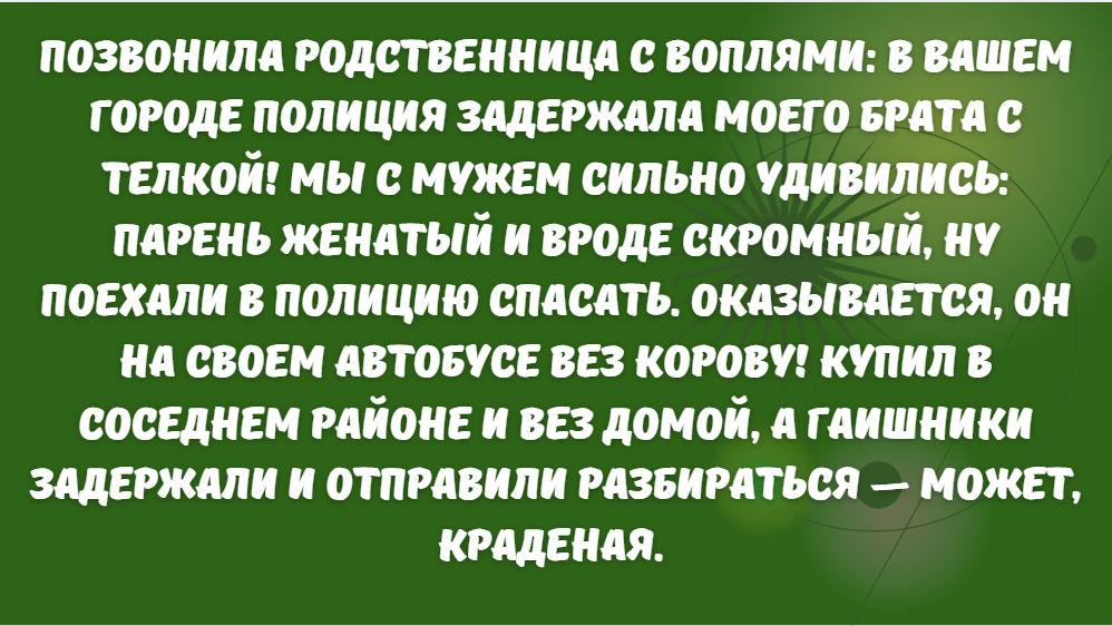 © Elzara Jemil Qizi