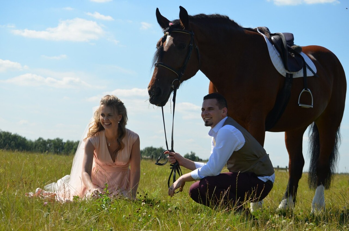 КониШкола Олимпия