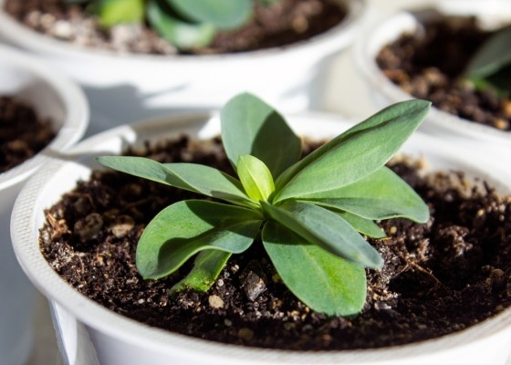 Источник фото shutterstock.com