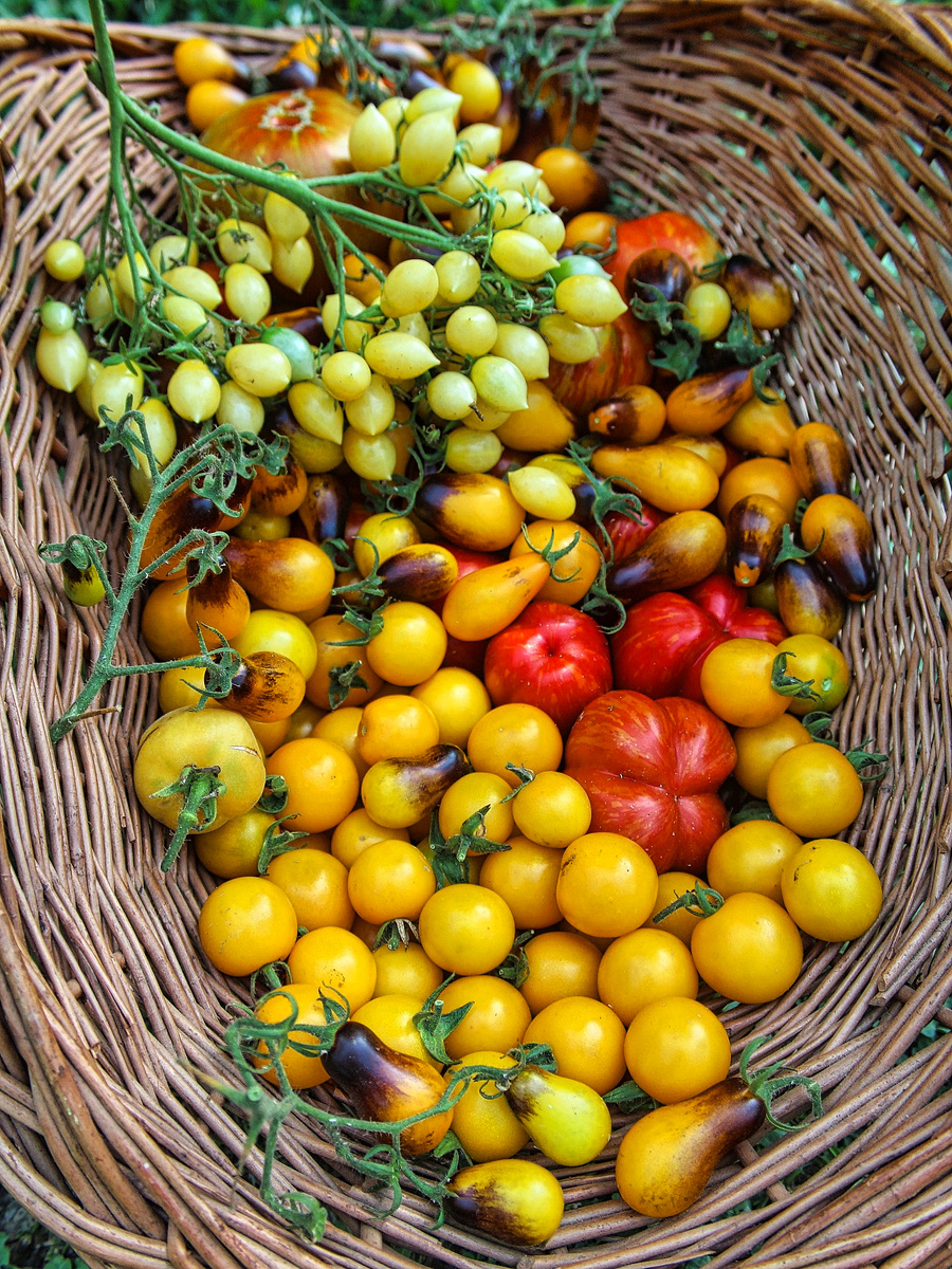 🌱 Когда страшно начинать — это нормально