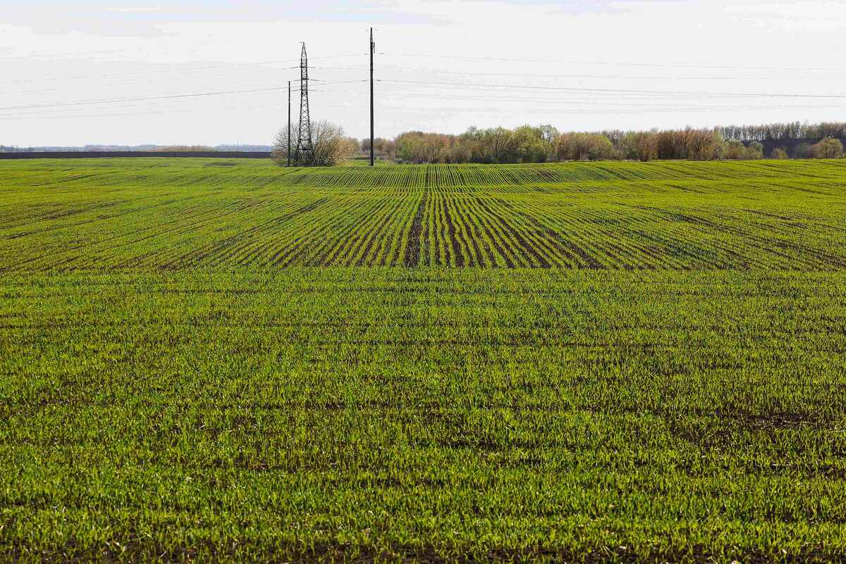 Источник: Поле.РФ