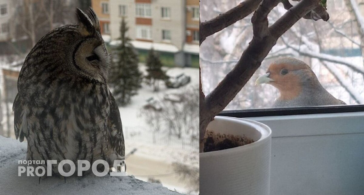    фото "Про Город"