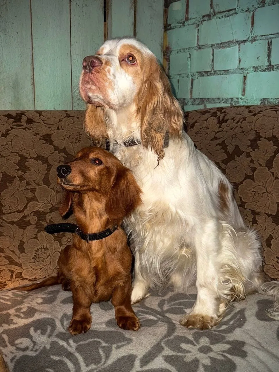 Фото из официального канала губернатора Псковской области Михаила Ведерникова на платформе MAX