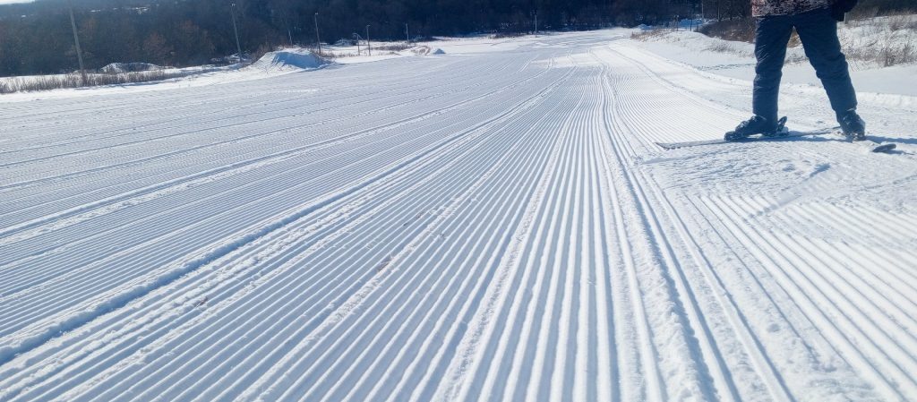    фото: ФОК Мичурино