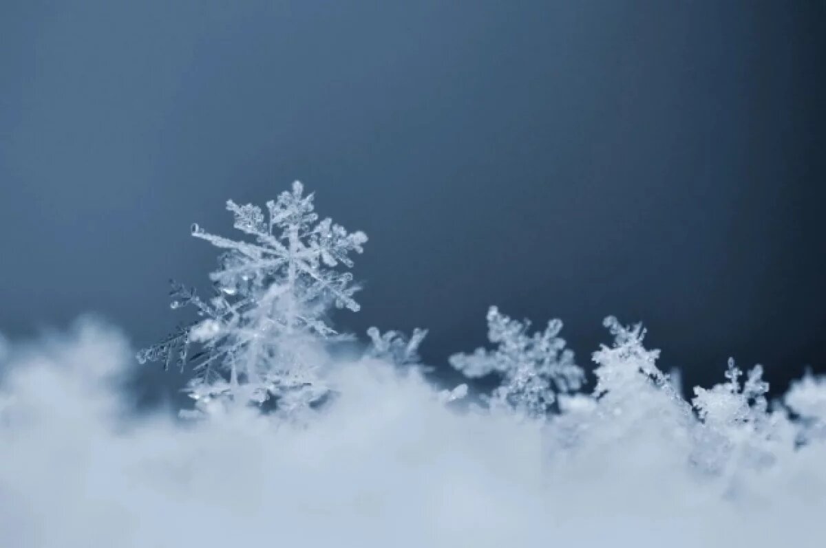    Известен прогноз погоды в Рязанской области на начало недели