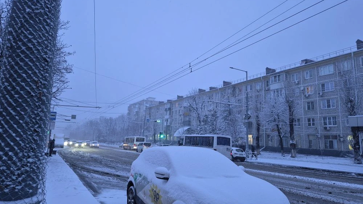    Фото: телеканал «Краснодар»