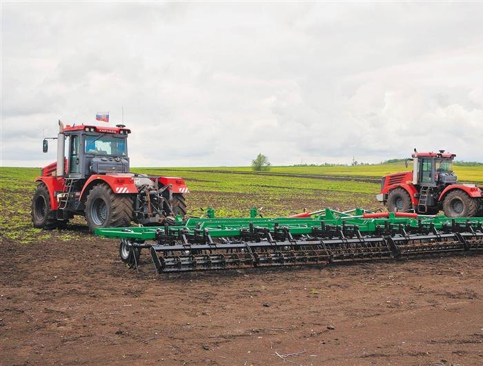    ФОТО: Белова Александра