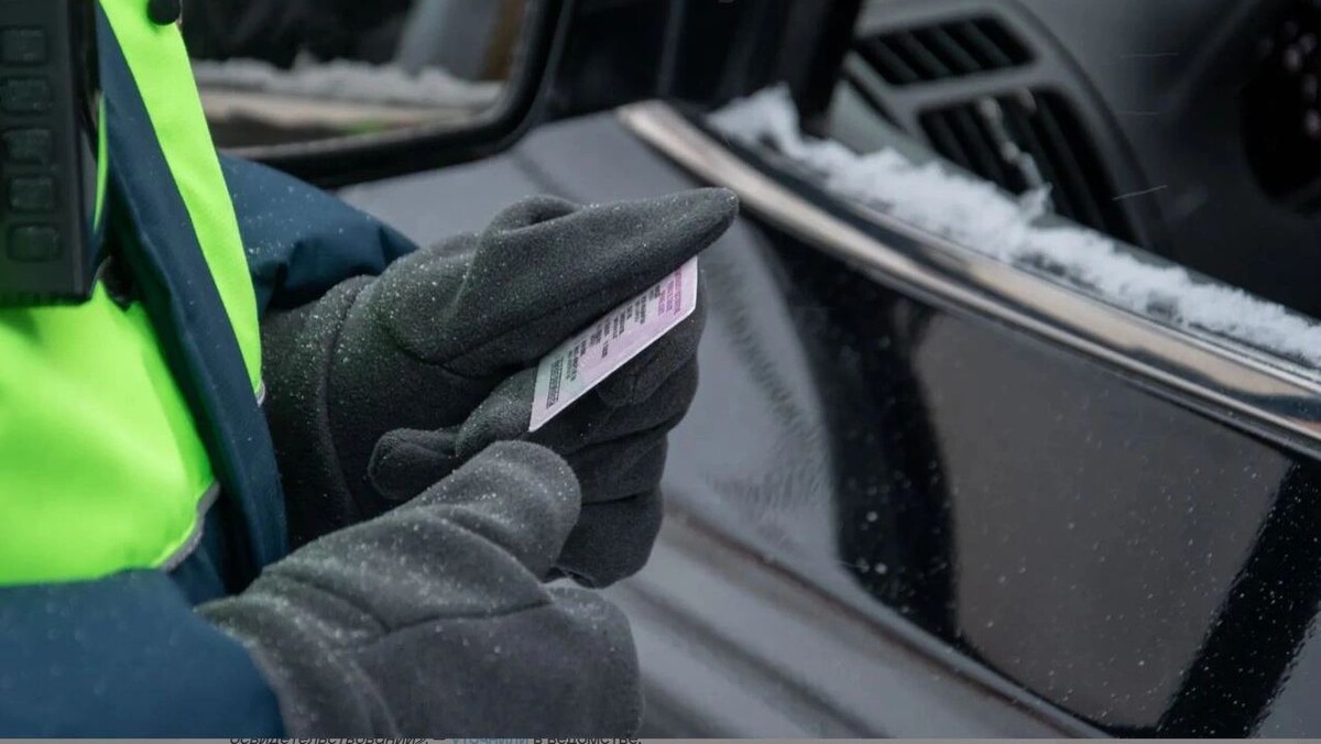    Фото: Юрий Здебский/«Ямал-Медиа»