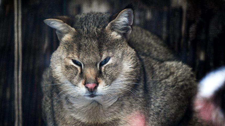    Фото: © РИА Новости/Максим Блинов
