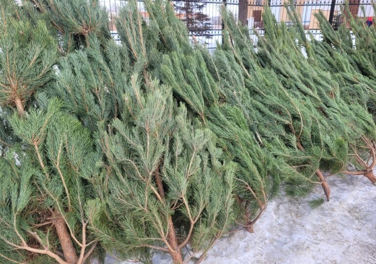 Фото: Самара-ГИС