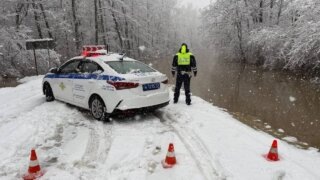    фото: t.me/gibdd123region Людмила Лата