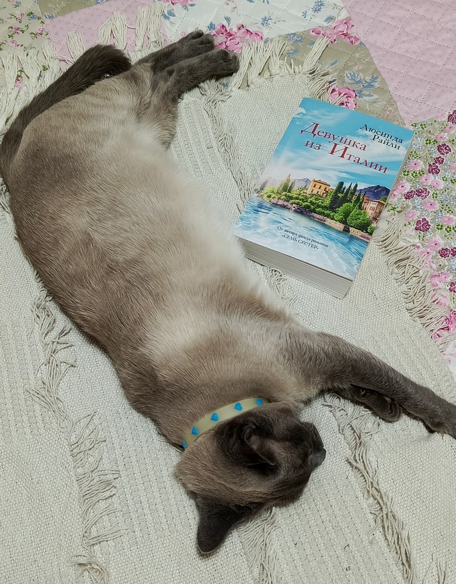 (Кошка Веста всегда рядом)