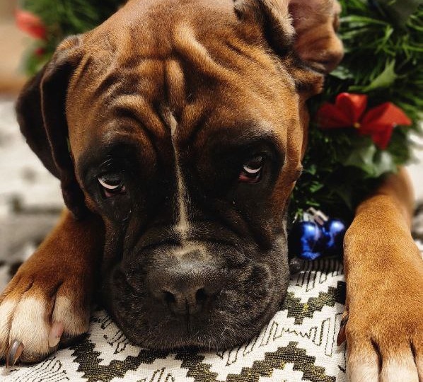 Внимание!‼️ Пристройство