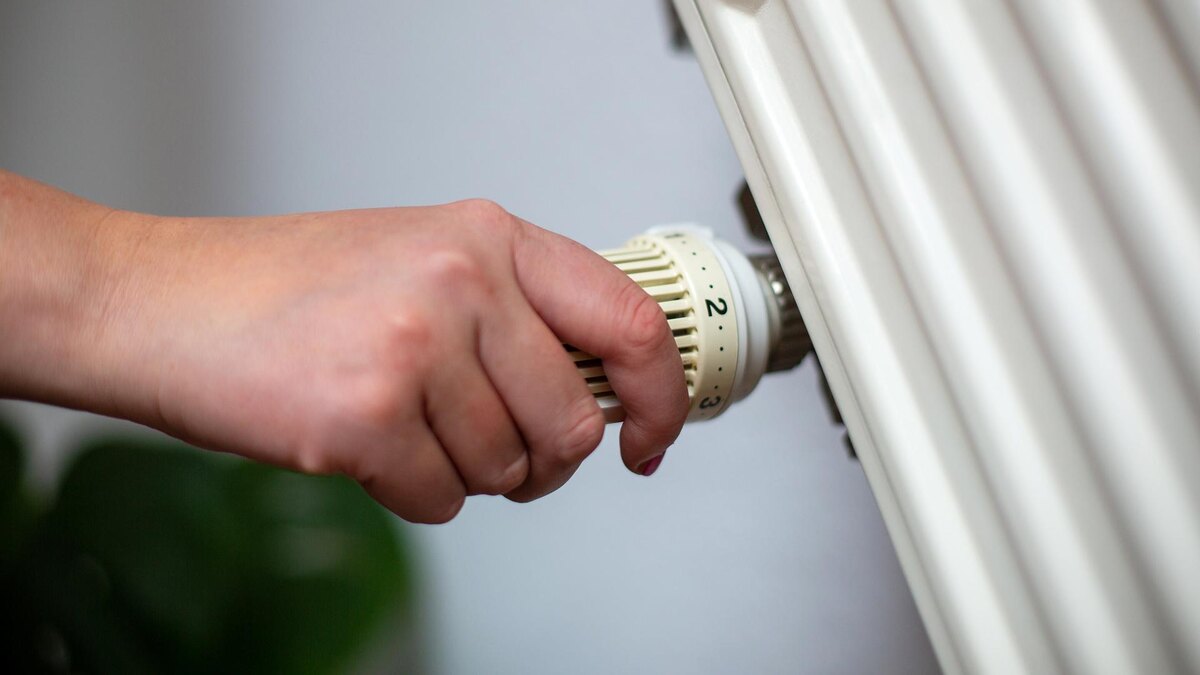    Фото: Fernando Gutierrez-Juarez/globallookpress.com