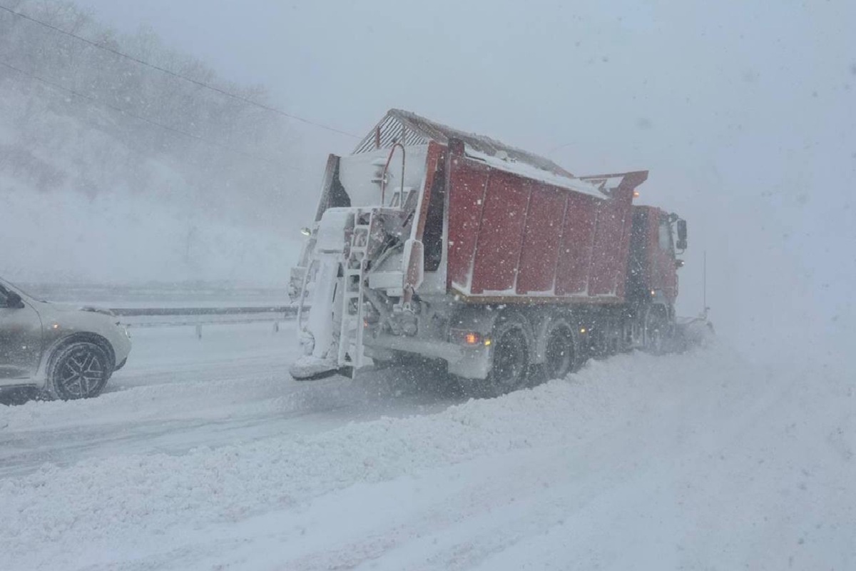    Фото: Администрация Владивостока, источник t.me adm_vl