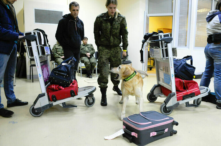   Игорь Самохвалов/«Парламентская газета»