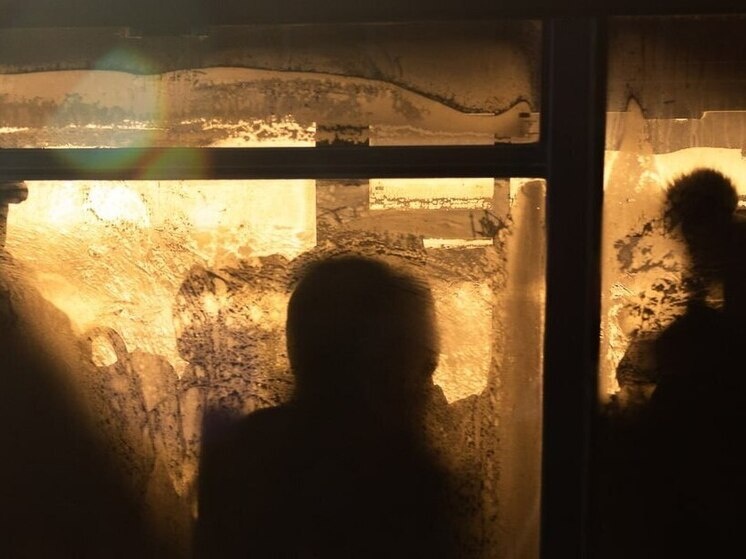     Фото: архив МК в Питере.