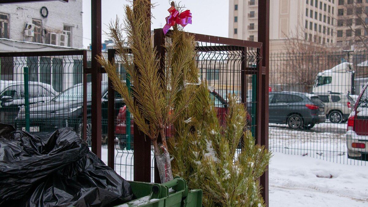 Фото: Svetlana Vozmilova/globallookpress.com