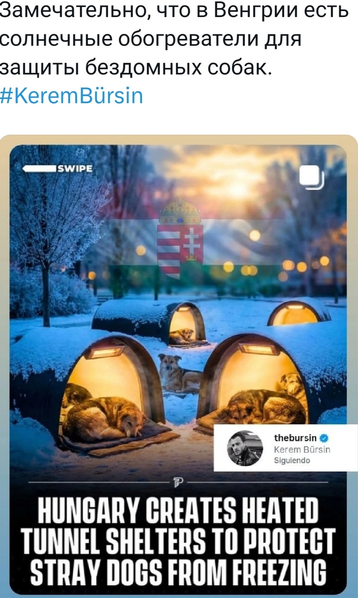 Лайк Керема Бюрсина в ИГ.