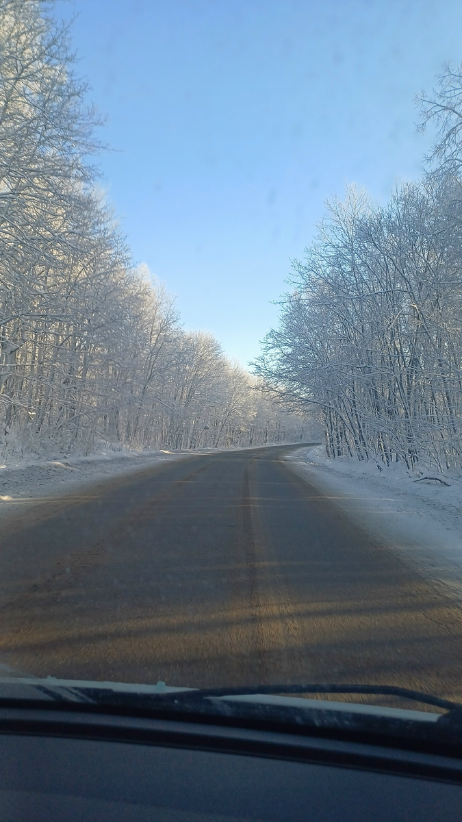 зима, дорога