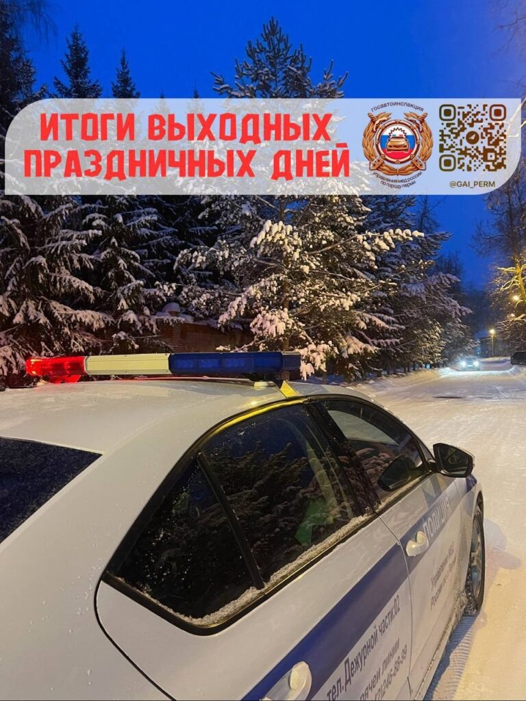    Фото: Госавтоинспекция Перми Полина Анкушина