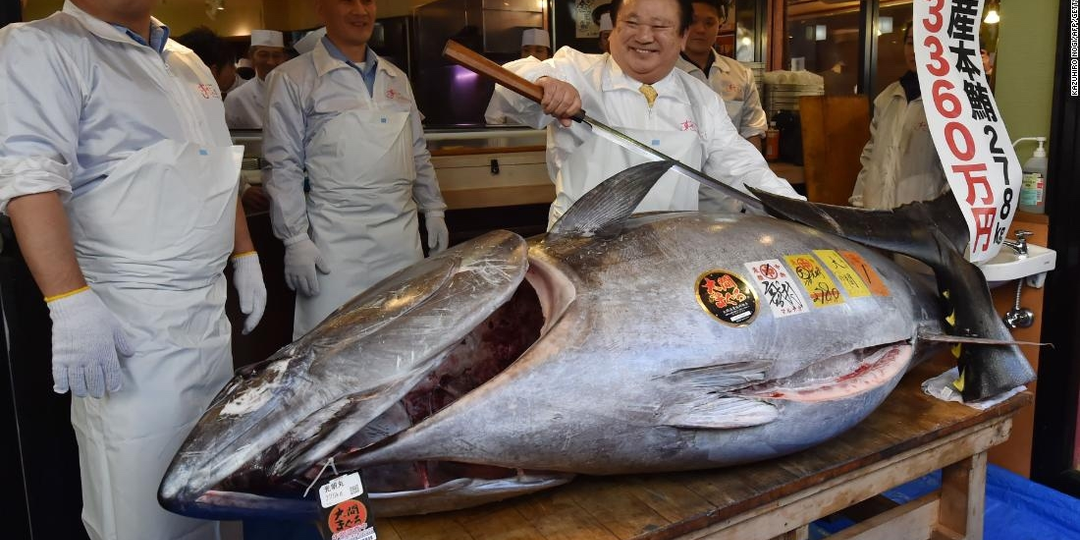 В Японии продали самого дорого тунца года