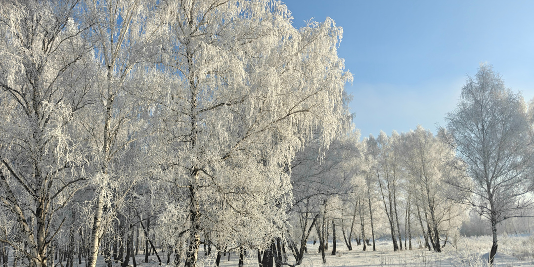 Прошли каникулы – снова в бой!