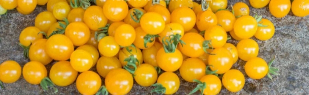 Фото из интернета. Zluta kytice  - жёлтые цветы