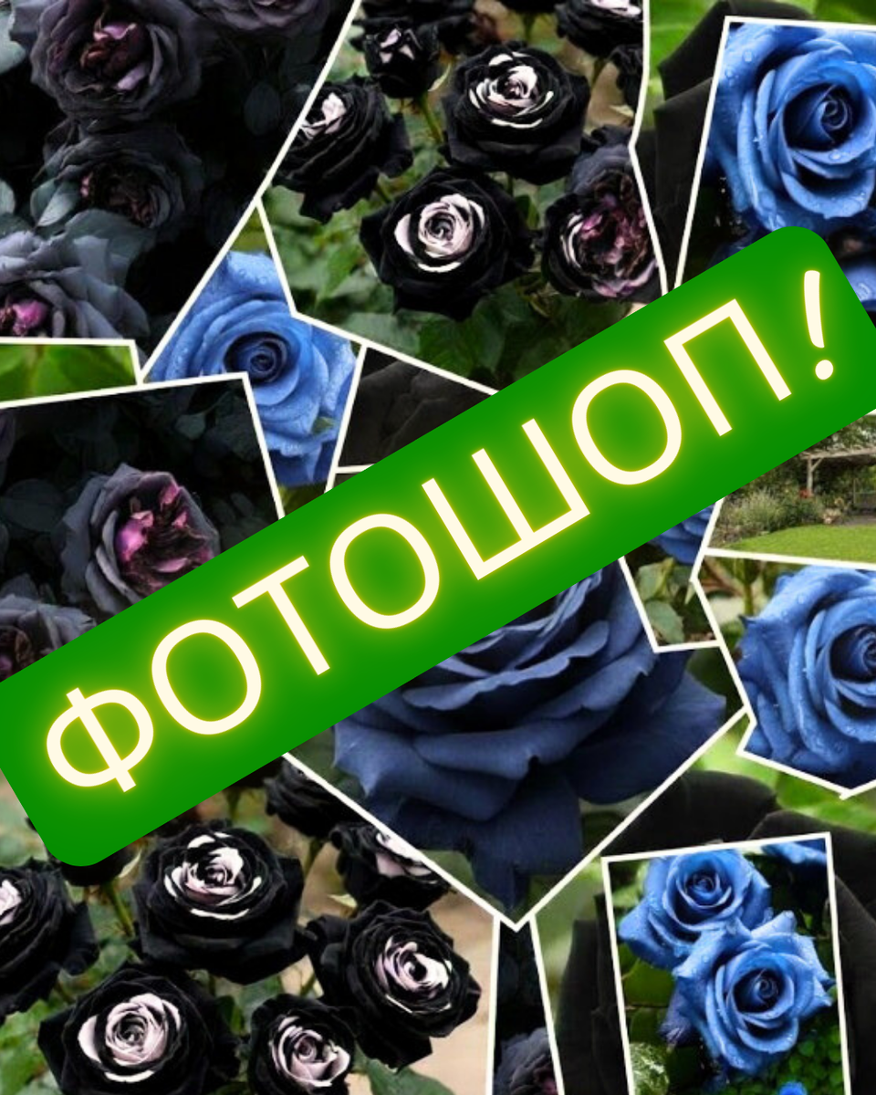 Это всё обман!