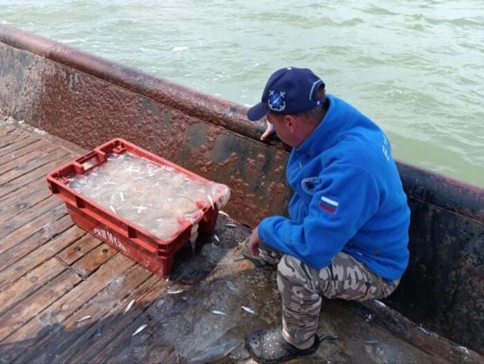 Иллюстрация: Пресс-служба АзНИИРХ