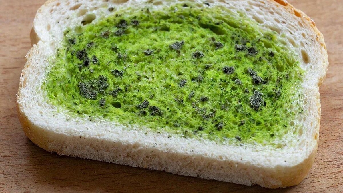    Изображение создано при помощи ИИ.