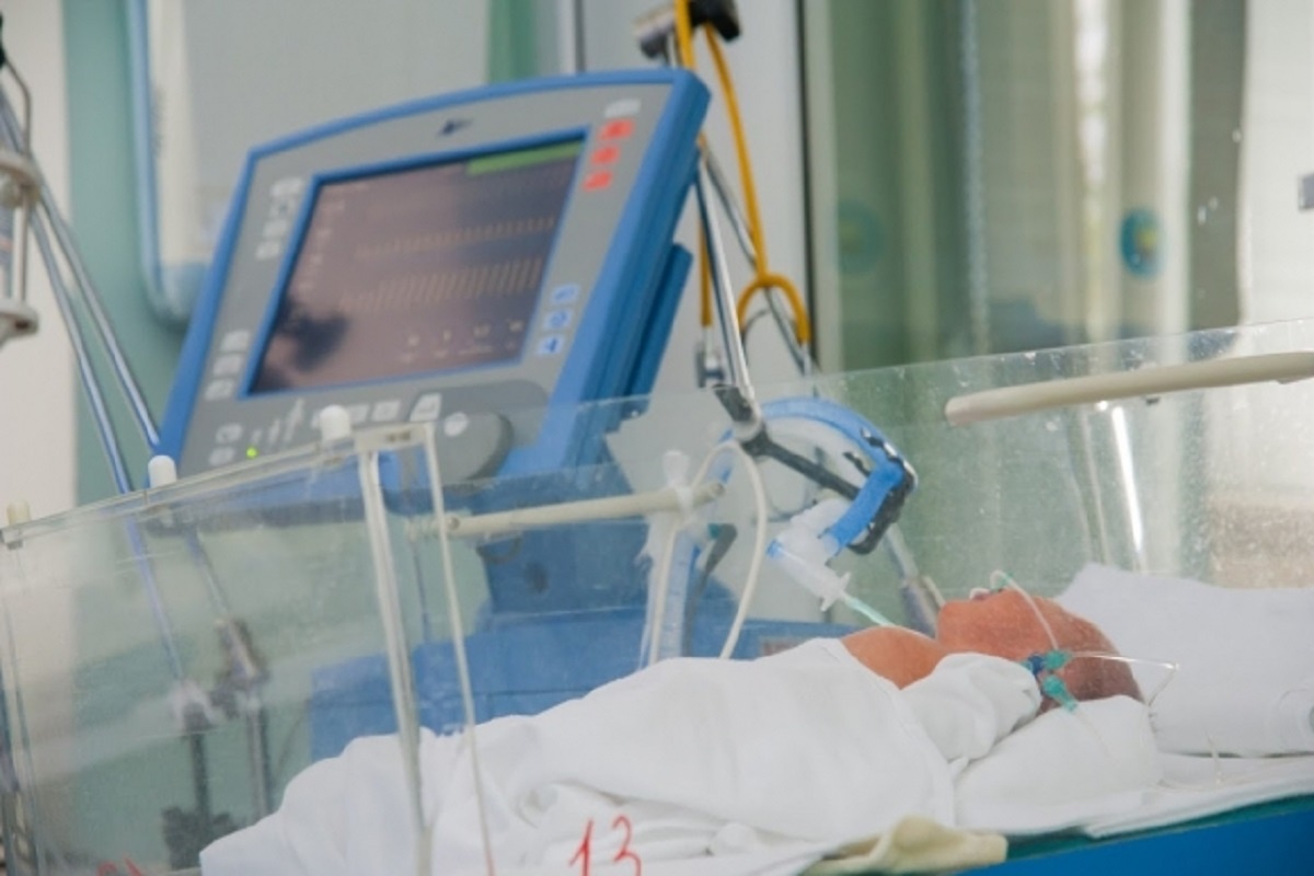 © Фото: ИД «Волгоградская правда» / архив