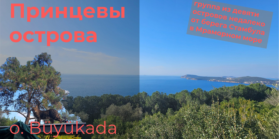 Принцевы острова (январь 2026, г. Стамбул)