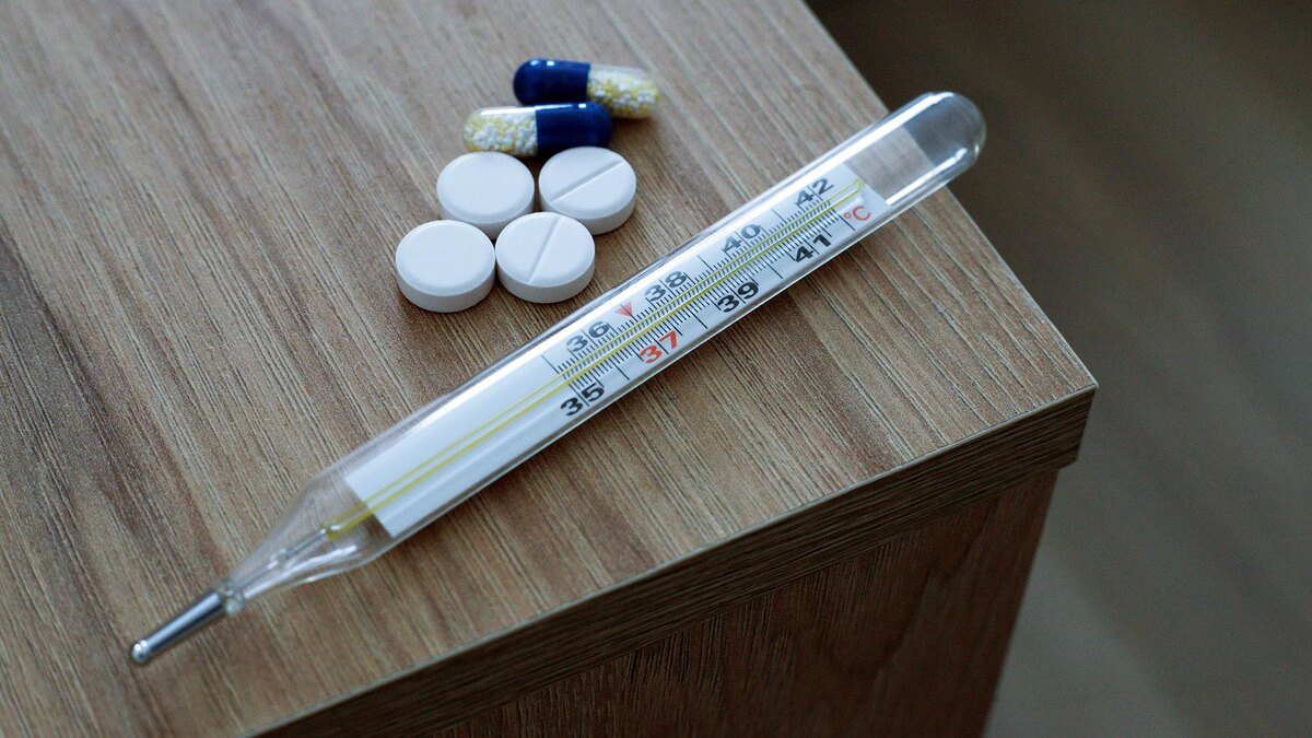    Фото: ИЗВЕСТИЯ/Юлия Майорова