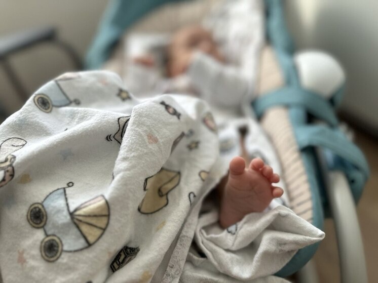   Алла Шпарейчук