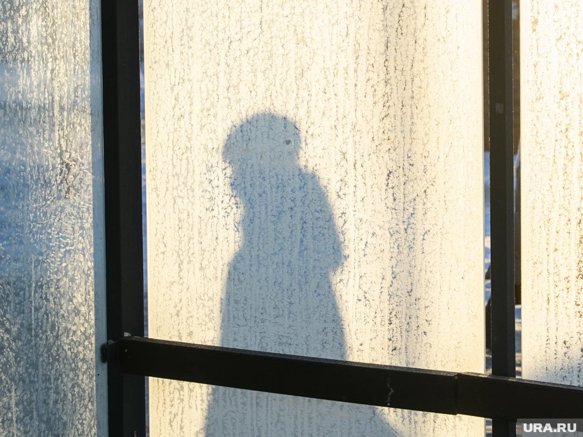     В столицу грядут крещенские морозы