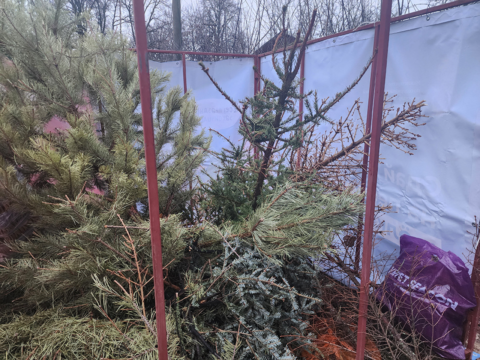    Фото: МедиаБанк Подмосковья/Марина Анисимова