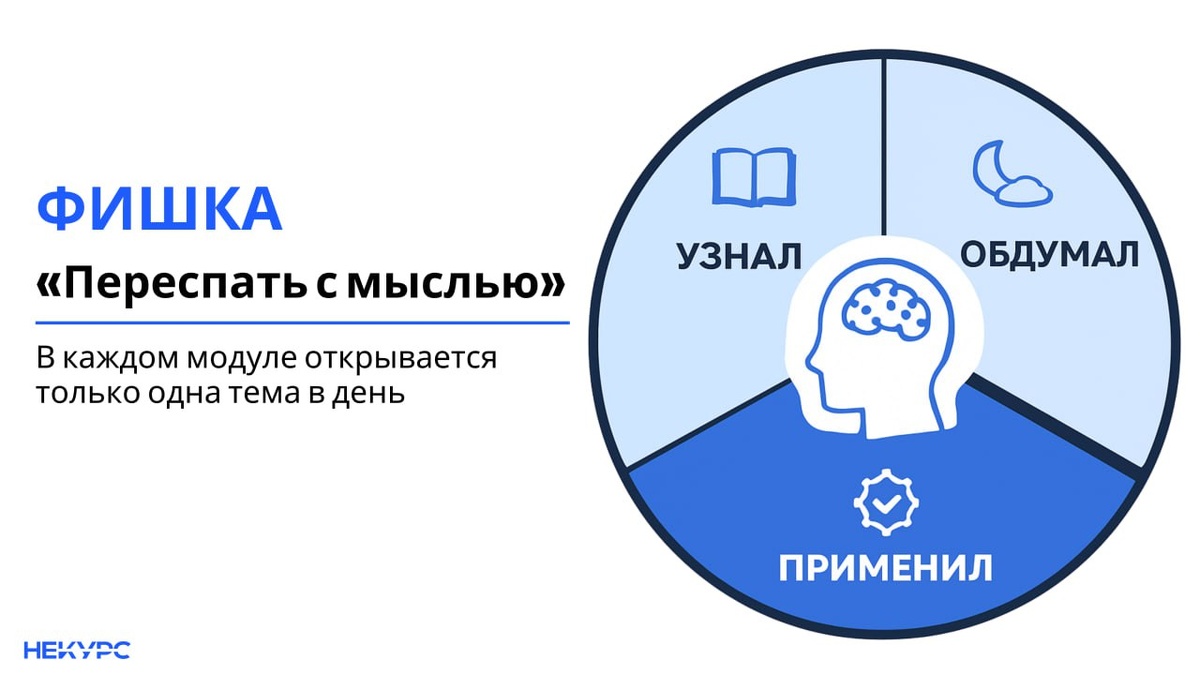 Фишка НеКурса. В каждом модуле открывается одна глава в день.