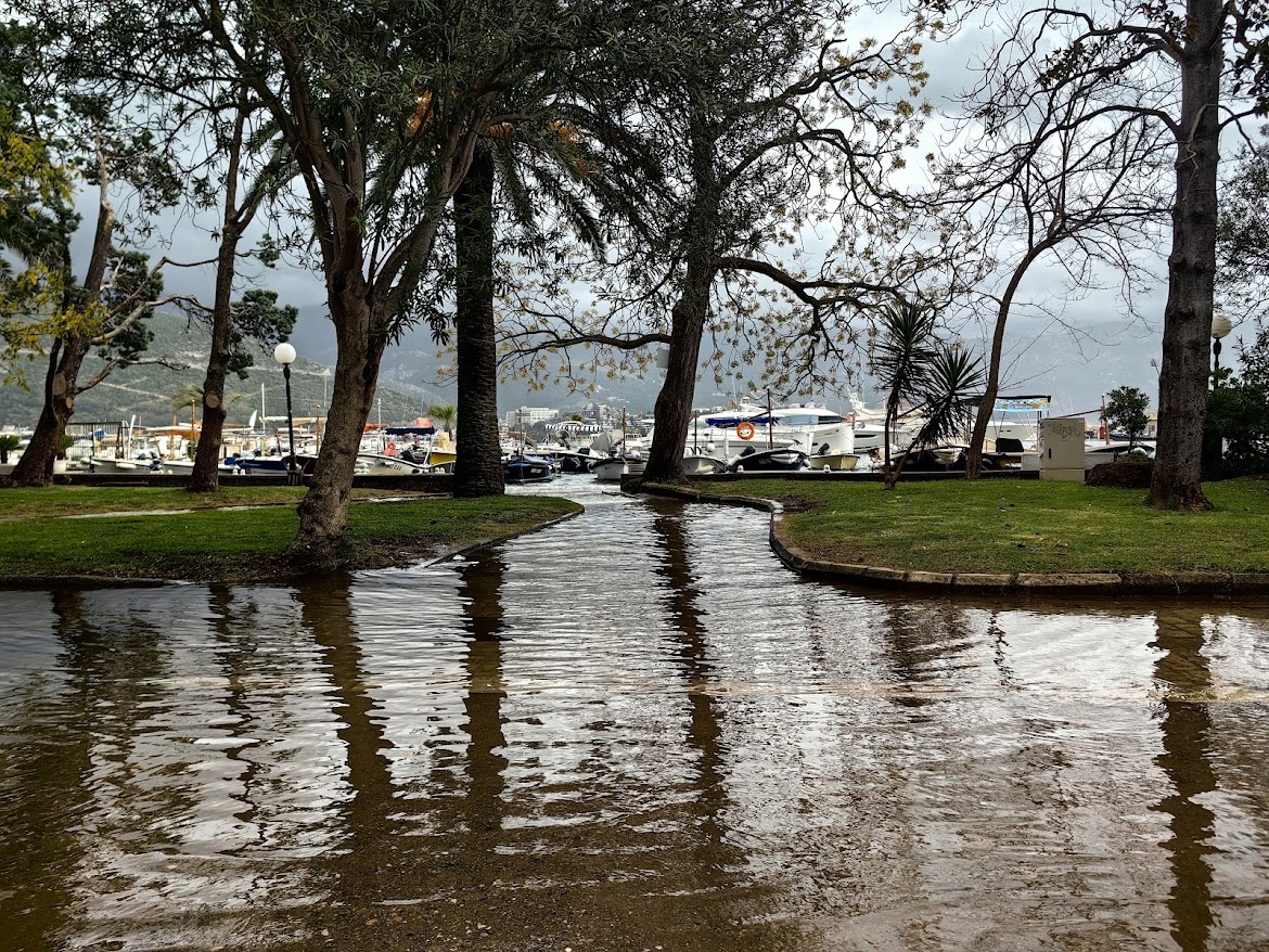 и устремляется к домам...