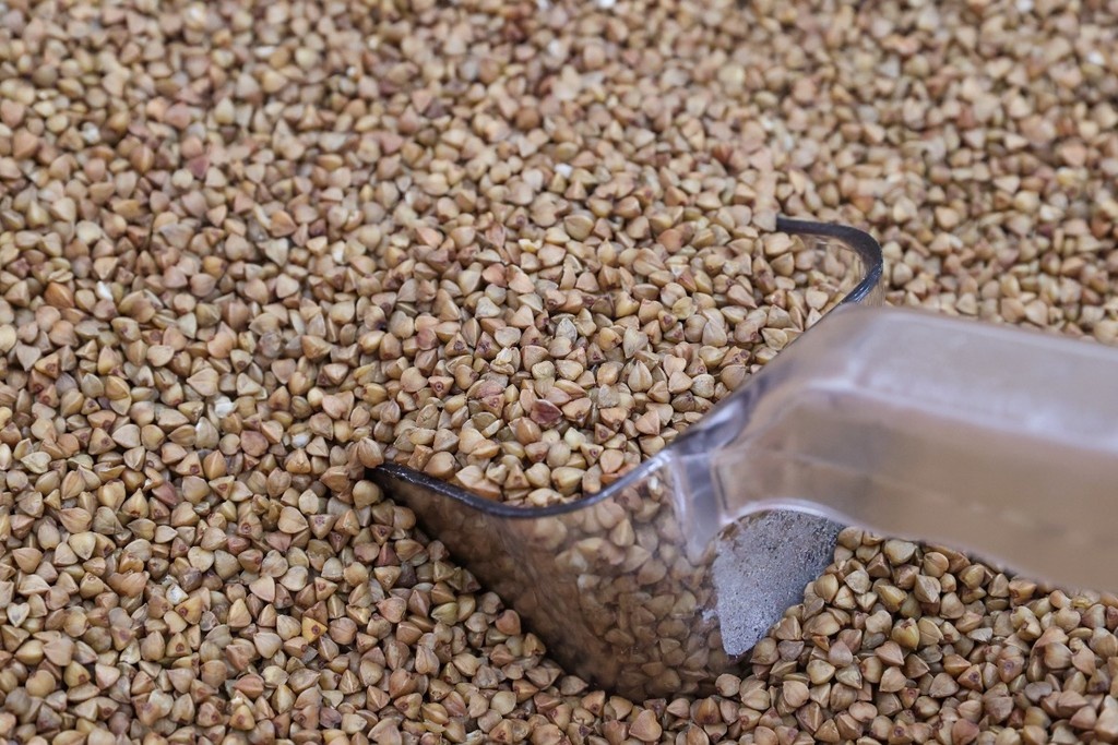    Фото © Кирилл Кухмарь / ТАСС