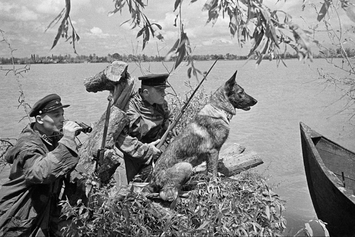 Пограничный наряд со служебной собакой на границе

